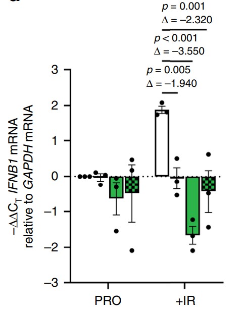 RNA was extracted from cells treated with siRNA targeting G3BP1.jpg